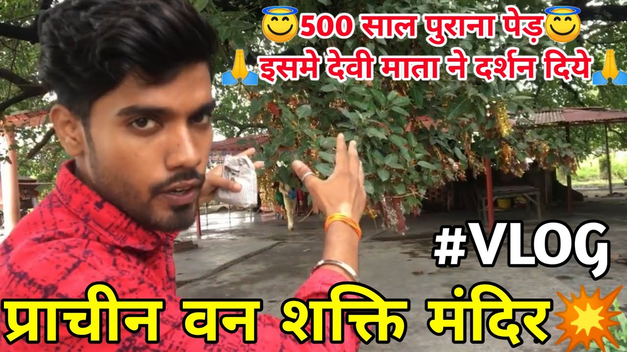 🙏Van Shakti Mandir Rudrapur VLOG 2022 | Best Temple in Uttrakhand | Nitesh Presents Rudrapur Vlogs