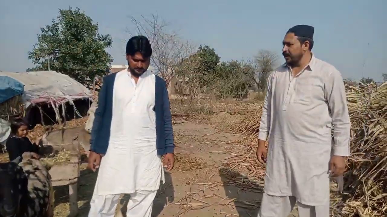 Aaj mere koal Aya Amir mere  bakre aur maja name  poochho hay 