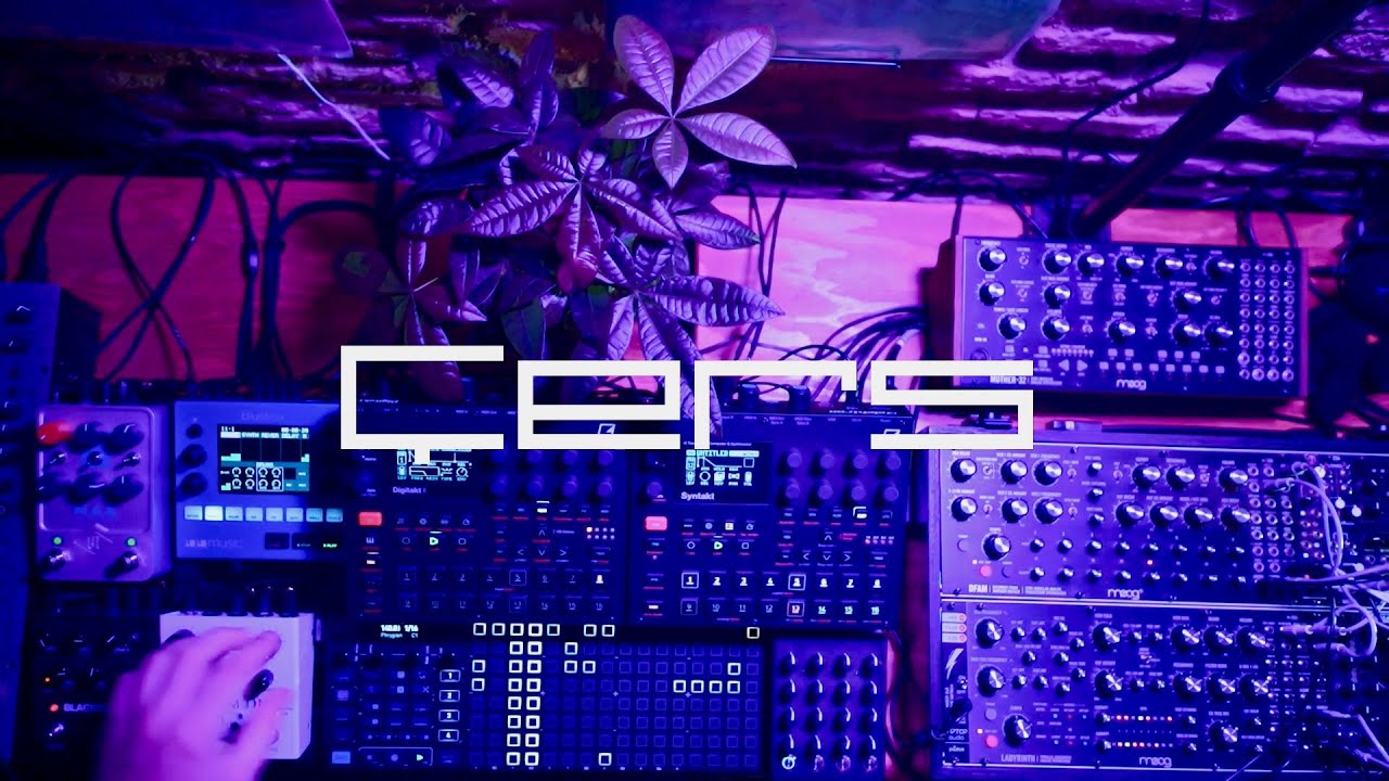 Techno | Sunday night with the Big T Music Beehive (Plaits) & the Moog Labyrinth | Ç𝚎𝚛𝚜 | 🎆