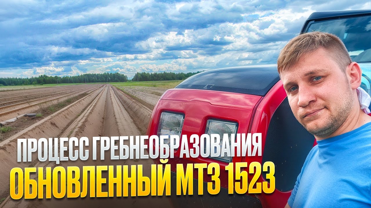 Сколько посадили, почему нет роликов ?