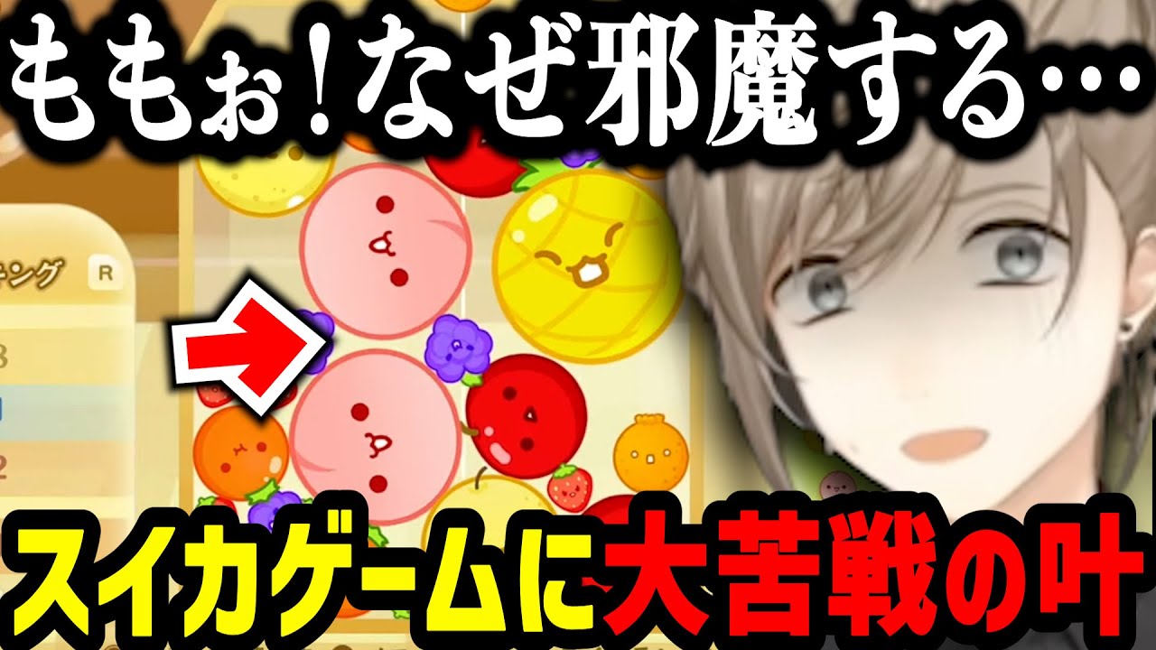 初めてのスイカゲームに大苦戦してだんだん壊れていく叶【にじさんじ/叶/スイカゲーム/切り抜き】