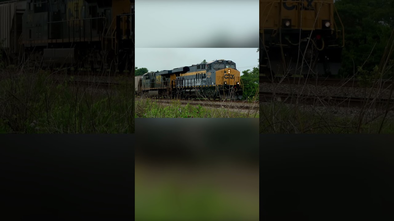 C&O Heritage Unit leads CSX Manifest. Chesapeake & Ohio on CSX X648 in Pimento, IN #csx #heritage