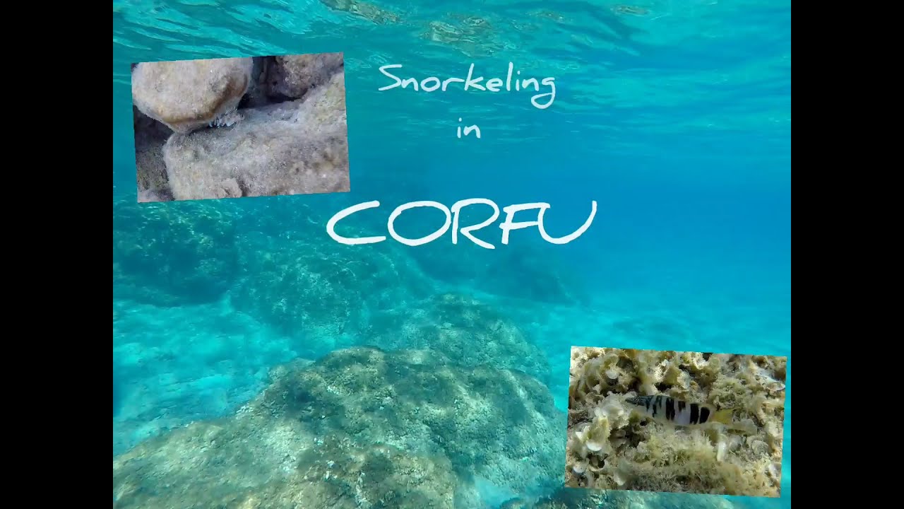 Snorkeling in Corfu, Greece (full HD) | Paleokastritsa, Porto Timoni, Glyfada, Kassiopi