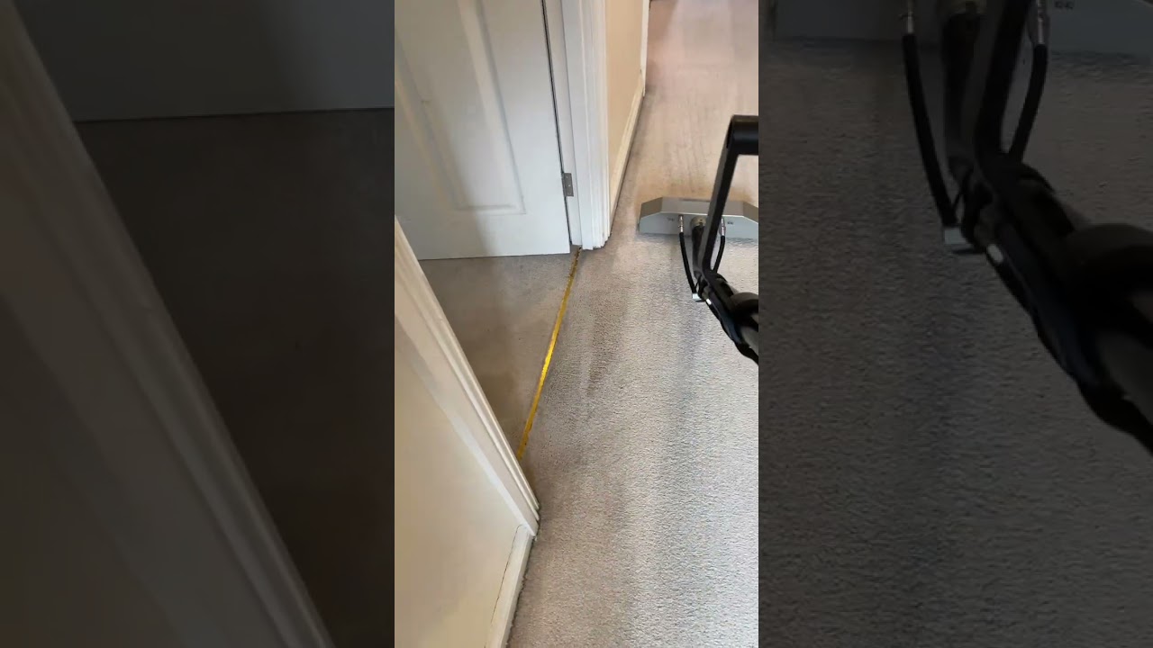 ✨Carpet Cleaning Barnstaple ✨