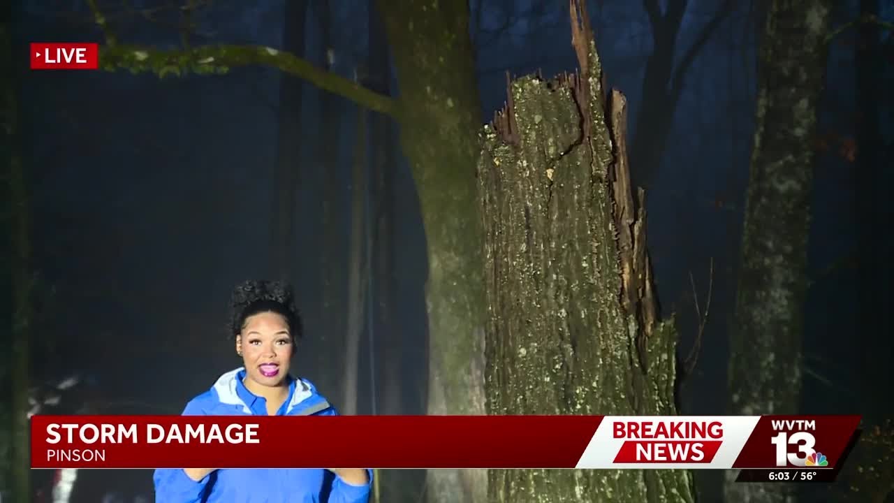 WVTM 13's Kayla Davis shows how powerful winds split a massive tree in half