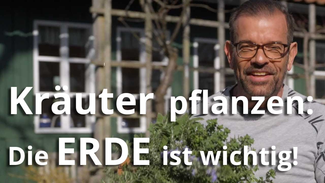 KR&Auml;UTER pflanzen - die richtige ERDE macht den Unterschied!