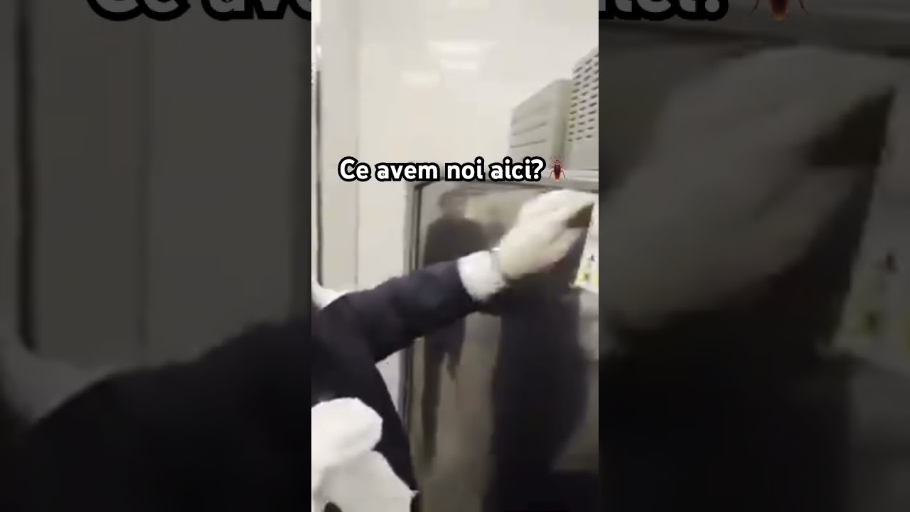 Piedone verifică m&acirc;ncarea