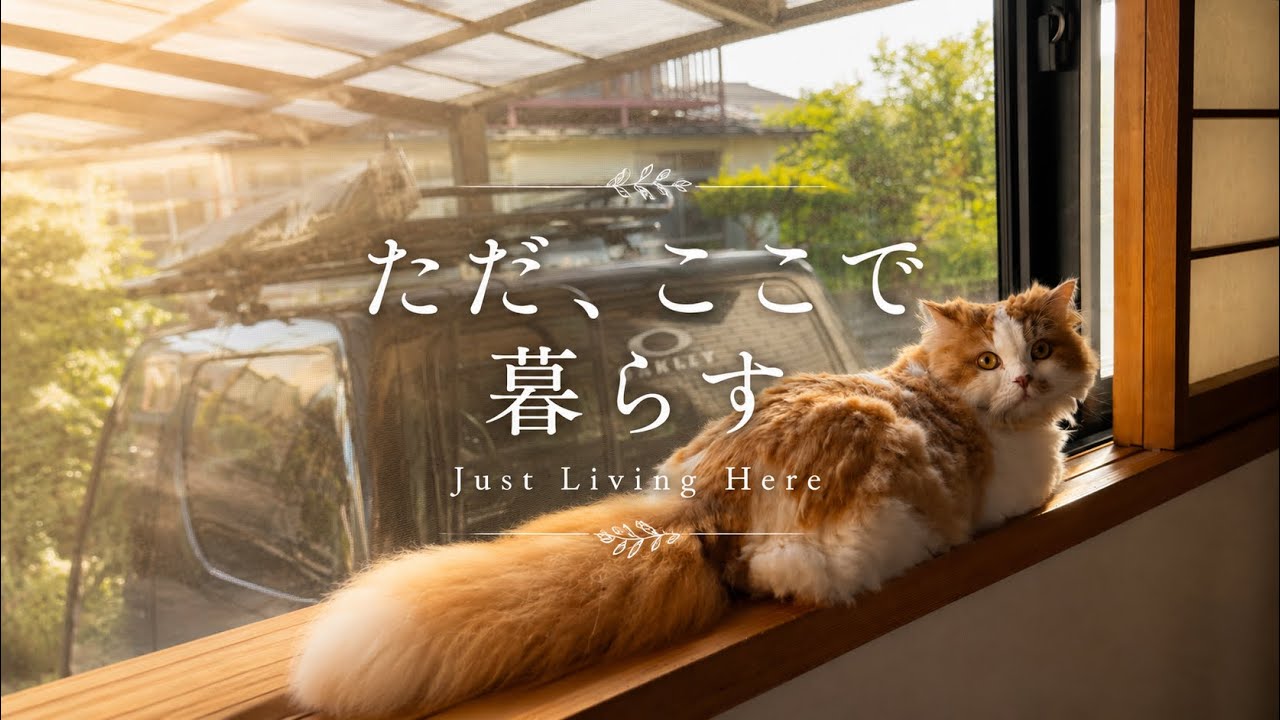 静かな日常