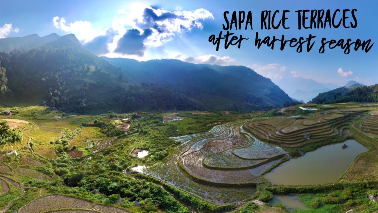 Sapa rice terraces after harvest season.