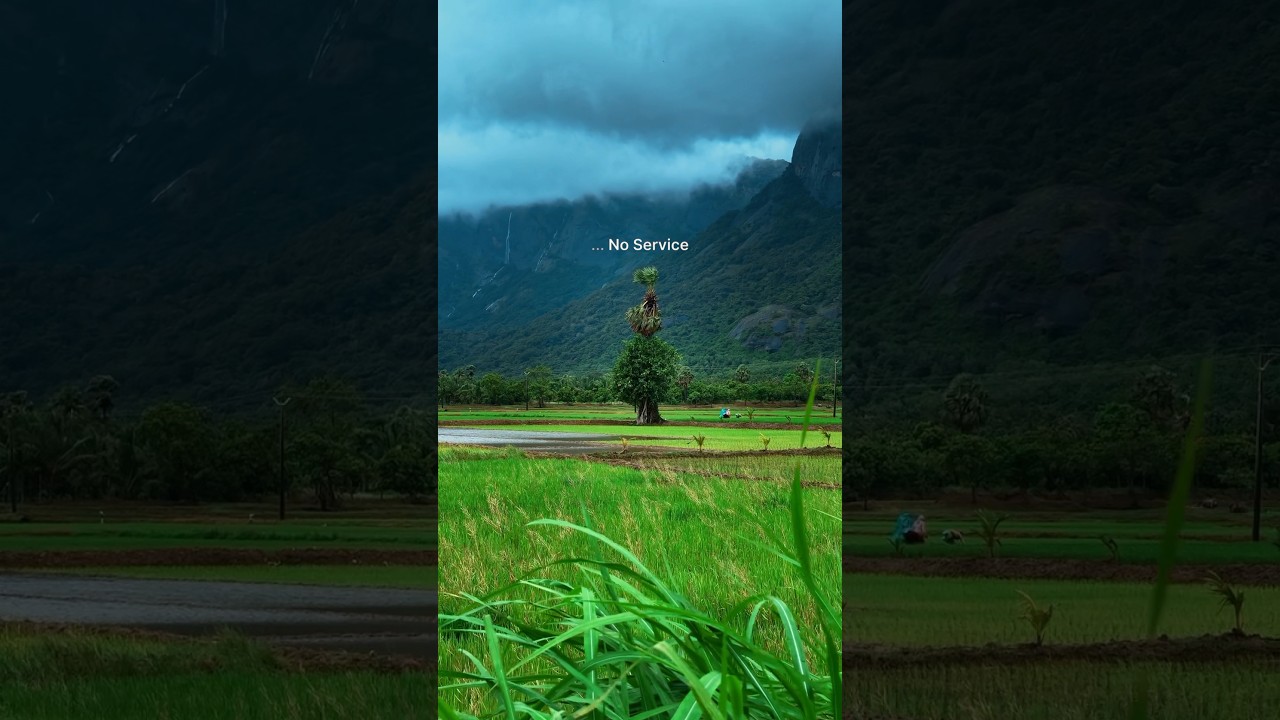 Monsoon Views of Kerala #shortsvideo #shorts #nature