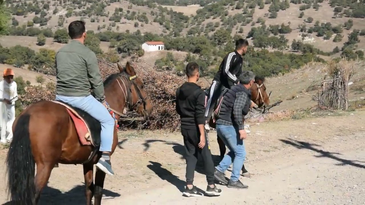 bozören köyü değnek oyunu