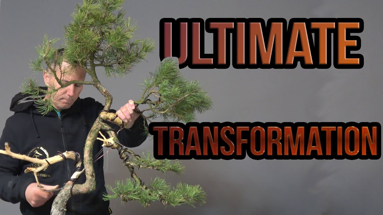 Ultimate transformation