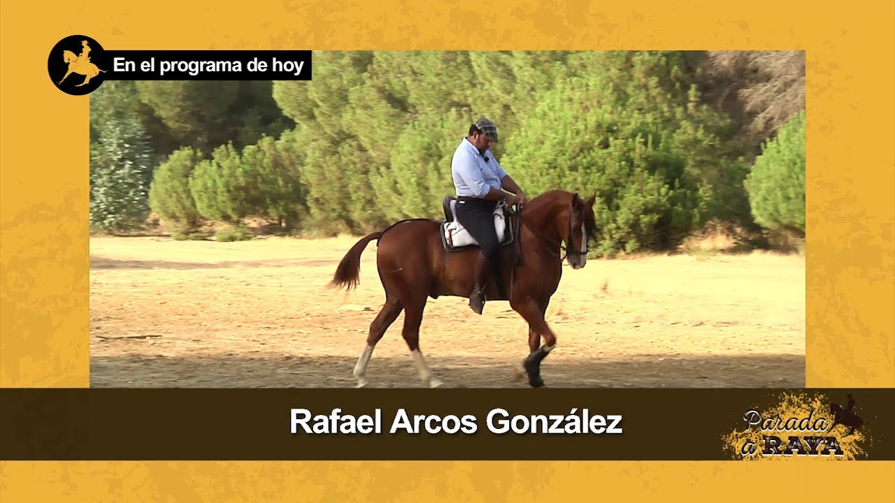 Parada a Raya. Programa 81