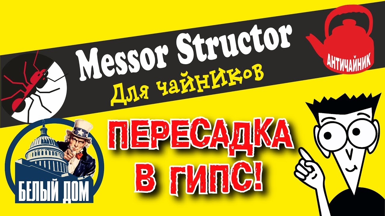 Муравьи Messor structor для чайников! Пересадка в гипсовый формикарий