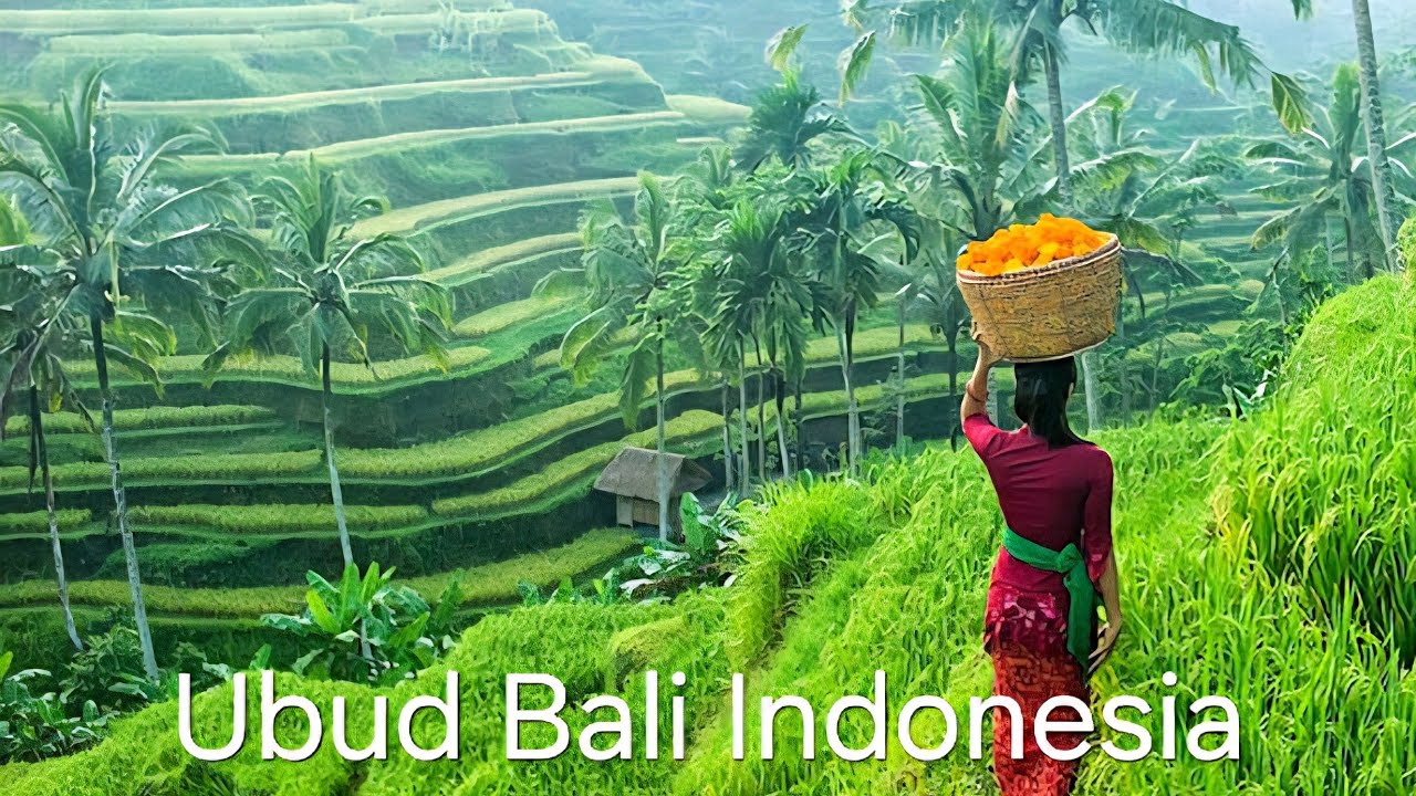 🇮🇩 Walking in Ubud, Bali: The Soul of the Island