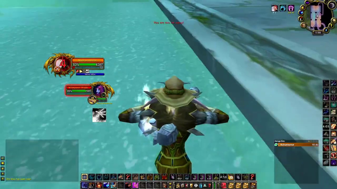 Druid Dire Maul East solo (12 mins run)