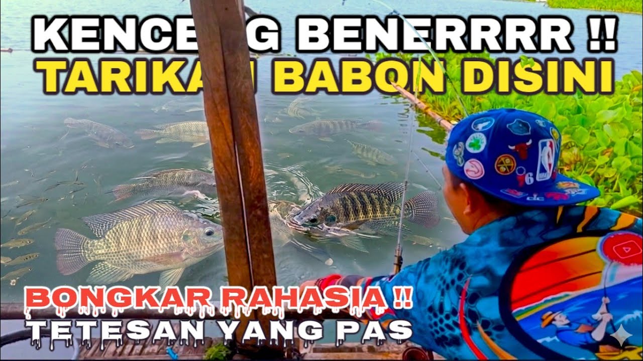 BABON-BABON BERMUNCULAN !! SPOT MANCING INI KEMBALI MENUNJUKAN POTENSINYA DI SAAT DEBIT AIR NAIK