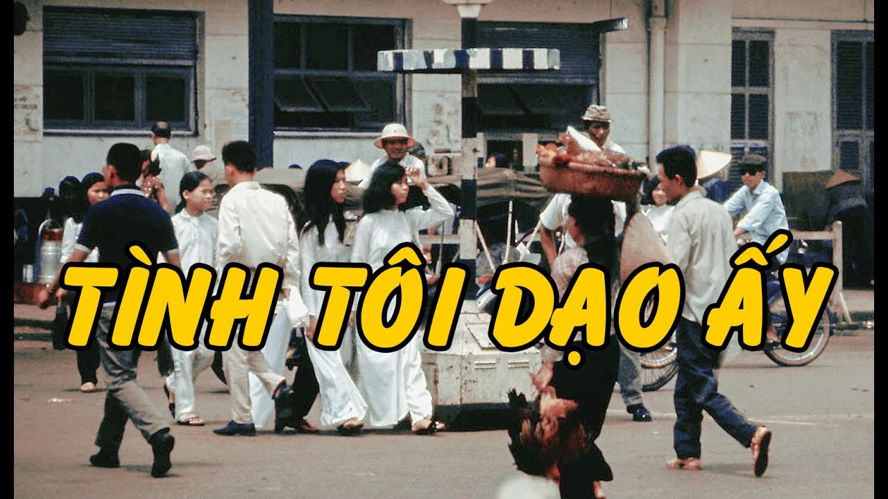 TÌNH TÔI DẠO ẤY (Trường Phúc) - Tài Nguyễn Diễn Đọc