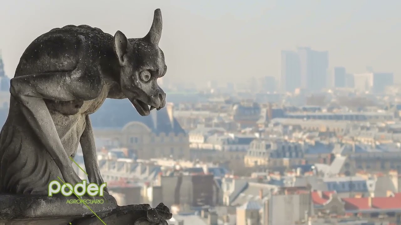 ¿QUÉ SE ENCONDE DETRÁS DE LAS PAREDES DE LA CATEDRAL DE NOTRE DAME ? 🤔