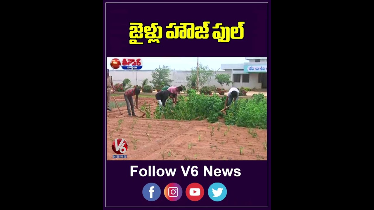 జైళ్లు హౌజ్ ఫుల్ | Jail |  V6Teenmaar