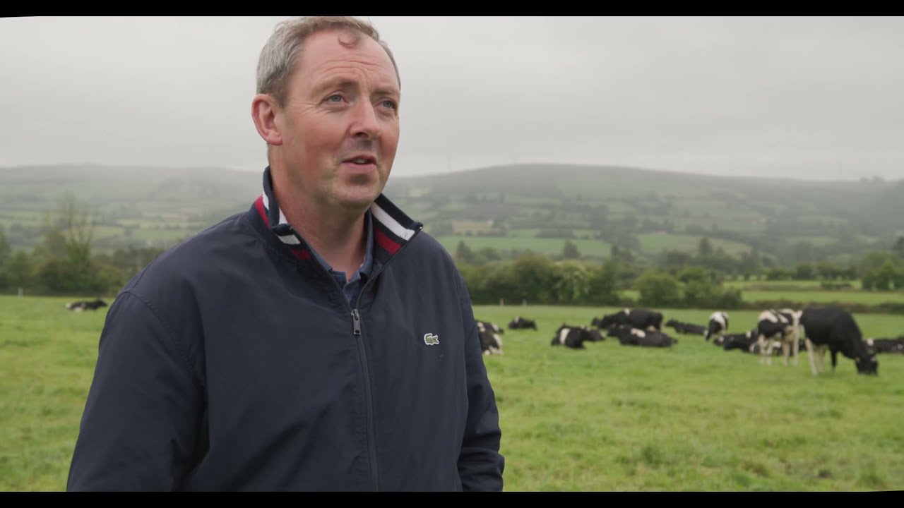 IHFA Breeder Profile - Sean O'Doherty - Knockaneagh Friesians