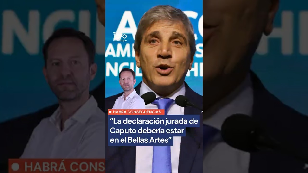 DIBUJE MAESTRO DIBUJE | La declaraci&oacute;n jurada de Toto Caputo es una obra de arte