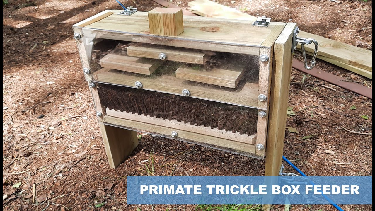 Primate Enrichment - Trickle box feeder explanation - Team Building design