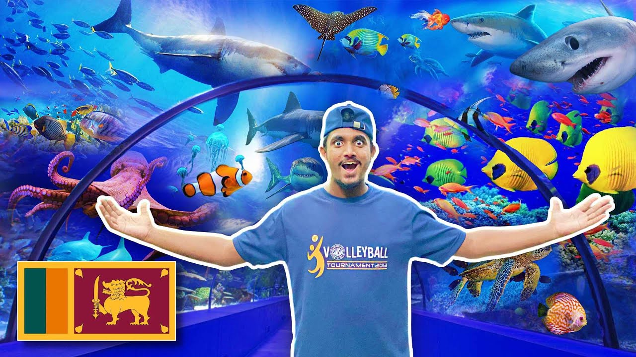 ලංකාවේ විශාලතම මින්මැදුර | Water world kelaniya - Sri lanka's Biggest Aquarium