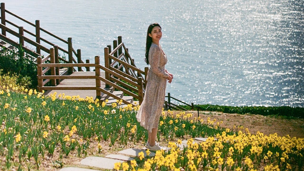 유통기간이 지난 필름으로 촬영 한다면?