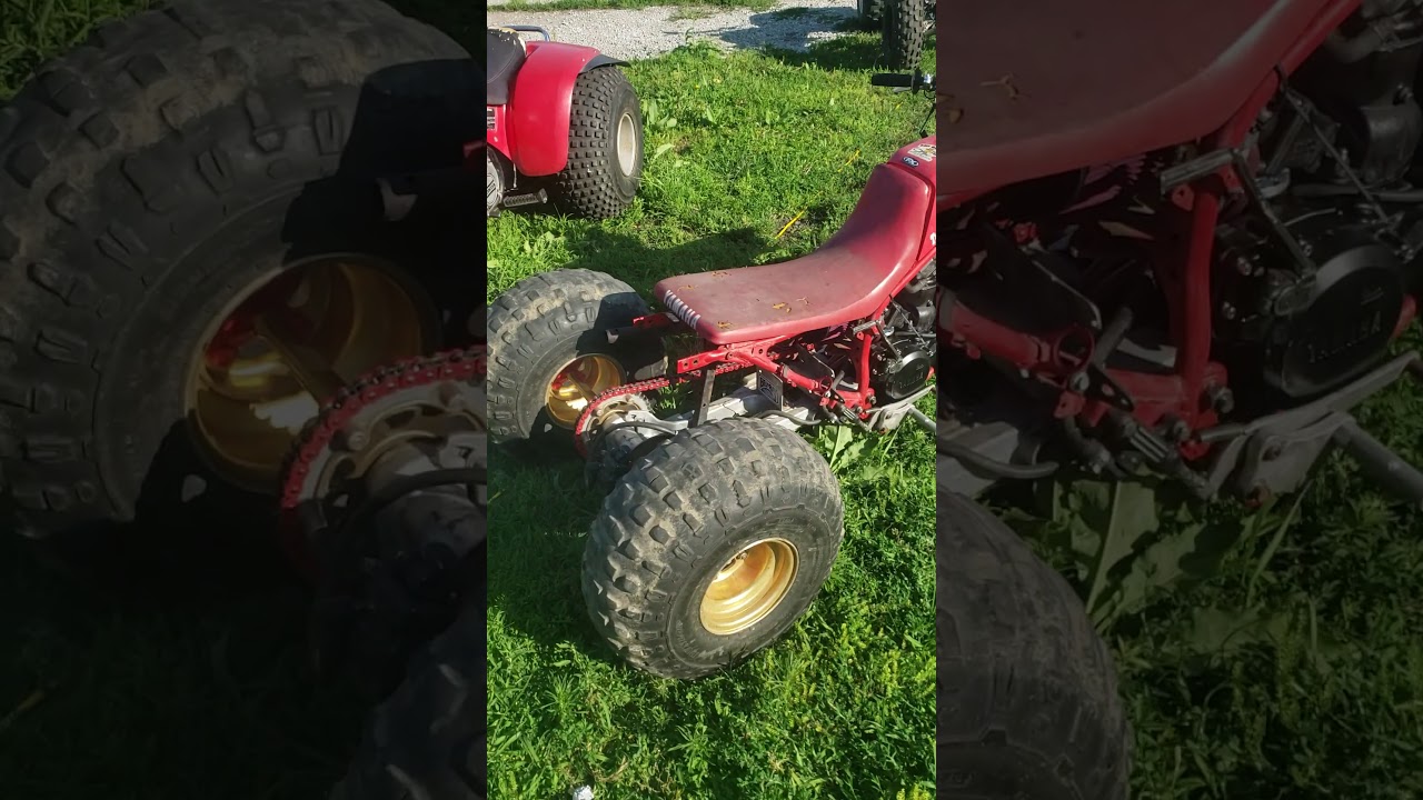 First start up full drag port and polish rechambered head Tri Z250