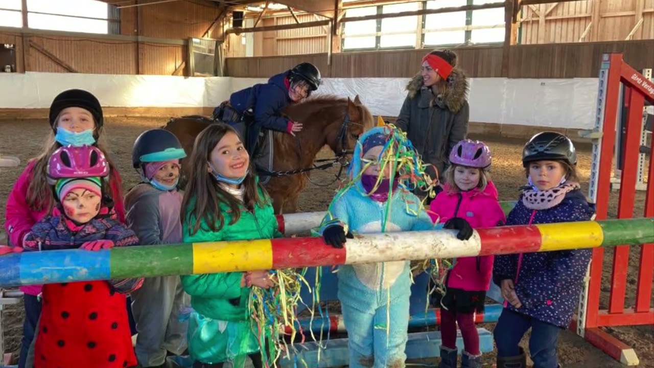Unsere vierstufige Reitschule stellt sich vor!