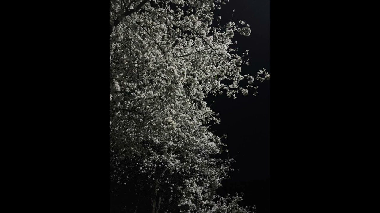 keshi × Japanese aesthetic type beat 