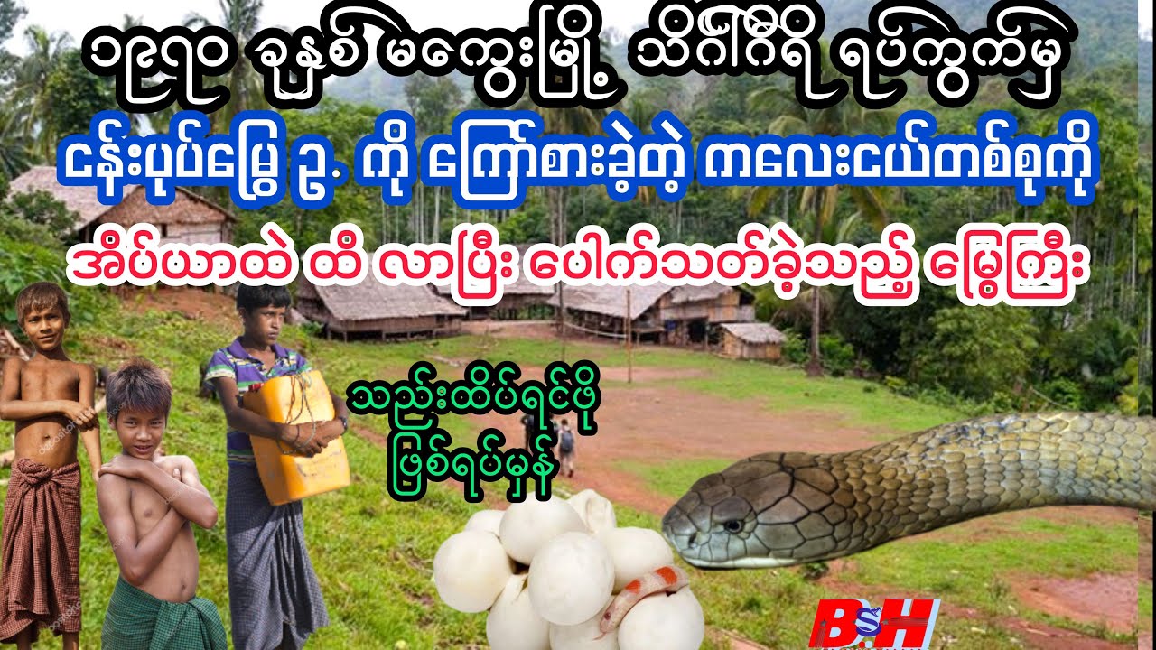 အိပ်ယာထဲထိ လာပြီး ကလဲ့စားချေတဲ့ (ငန်းပုပ်မြွေကြီး) မကွေးမြို့မှ ဖြစ်ရပ်မှန်