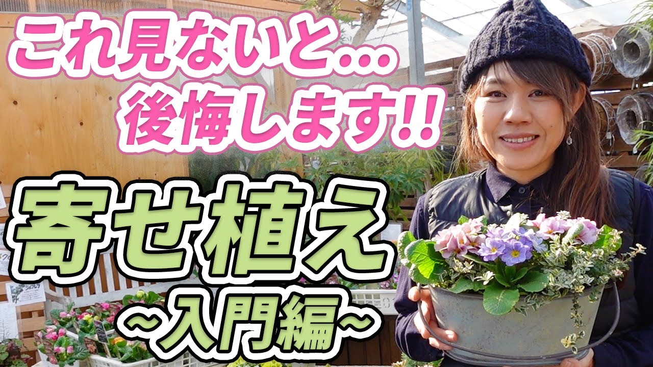 【これでOK！】あなたも間違えているかも⁉寄せ植えのコツを徹底解説します♪【初心者向け】【ガーデニング】【園芸チャンネル】
