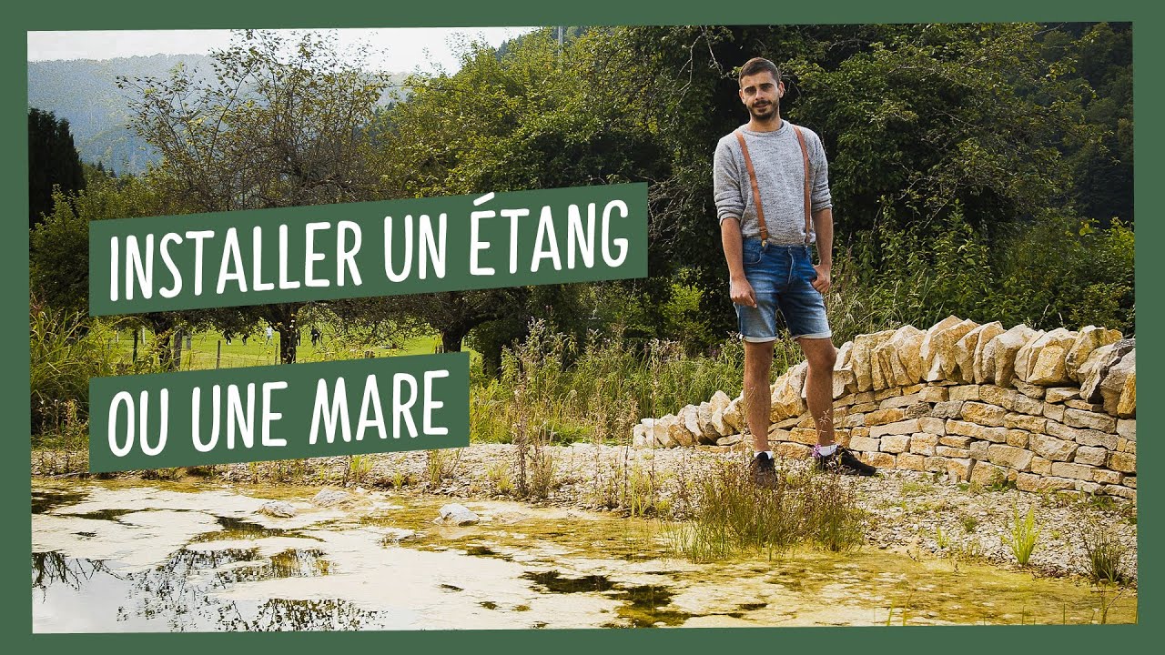 Une mare ou un étang ? Tous les conseils pratiques pour l'installation !