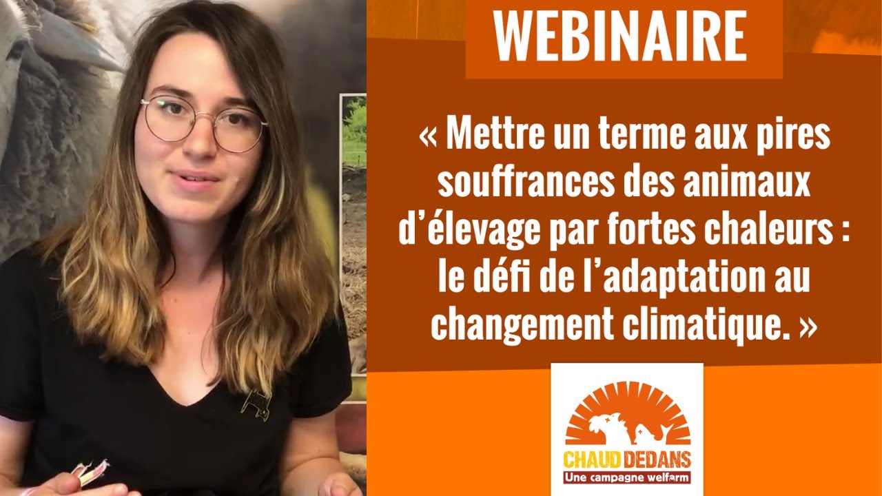 [Replay] Chaud Dedans ! | Webinaire du 22.08.2022