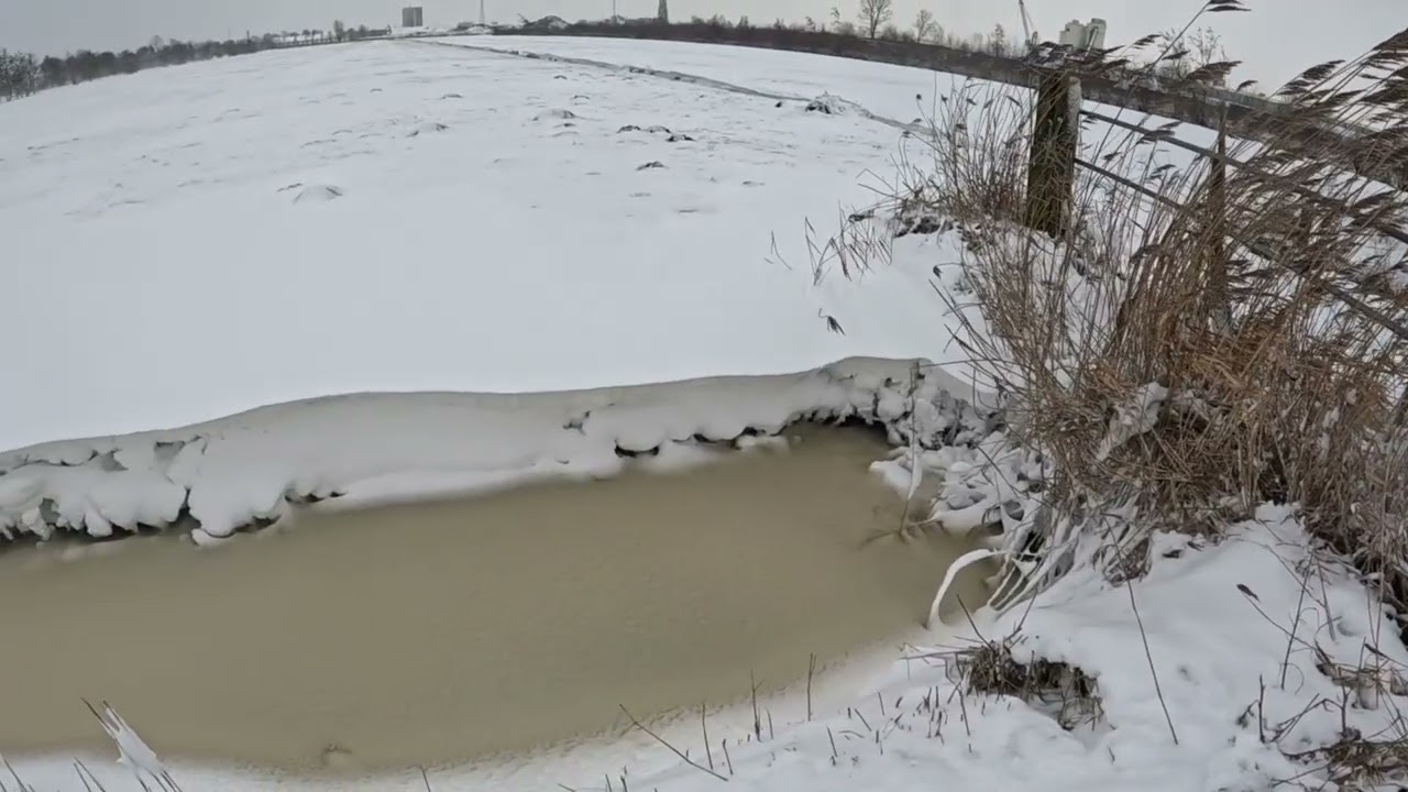 9 januari 2026 sneeuwstorm goretti jistrum en omgeving Tytsjerksteradiel friesland