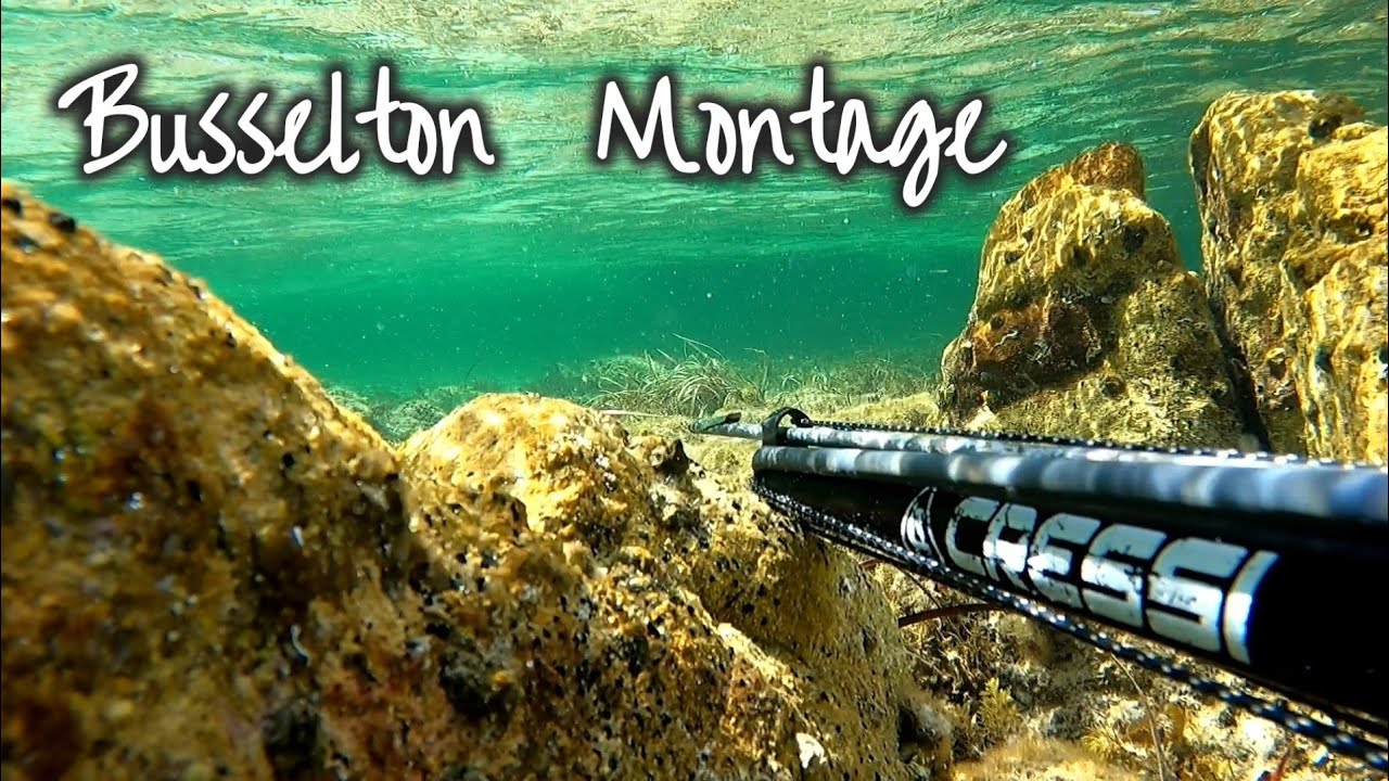 Beach Dive Fishing Living Life Busselton Montage