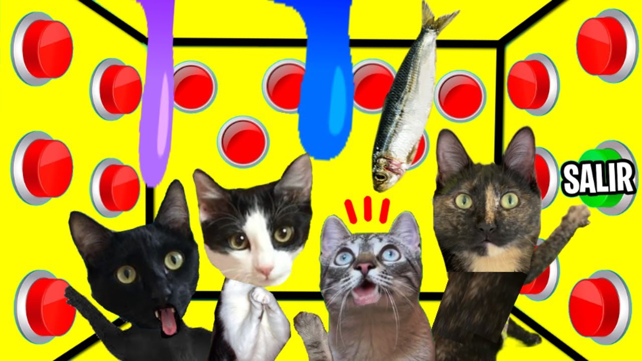 Caja secreta y misteriosa de 100 botones misteriosos / Videos de gatos Luna y Estrella