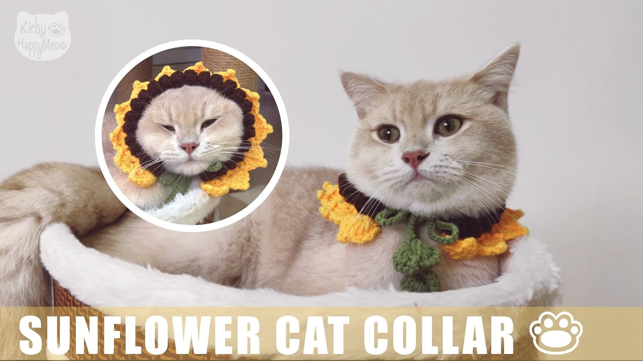 How to Crochet Sunflower Cat Collar ll Step by Step Tutorial