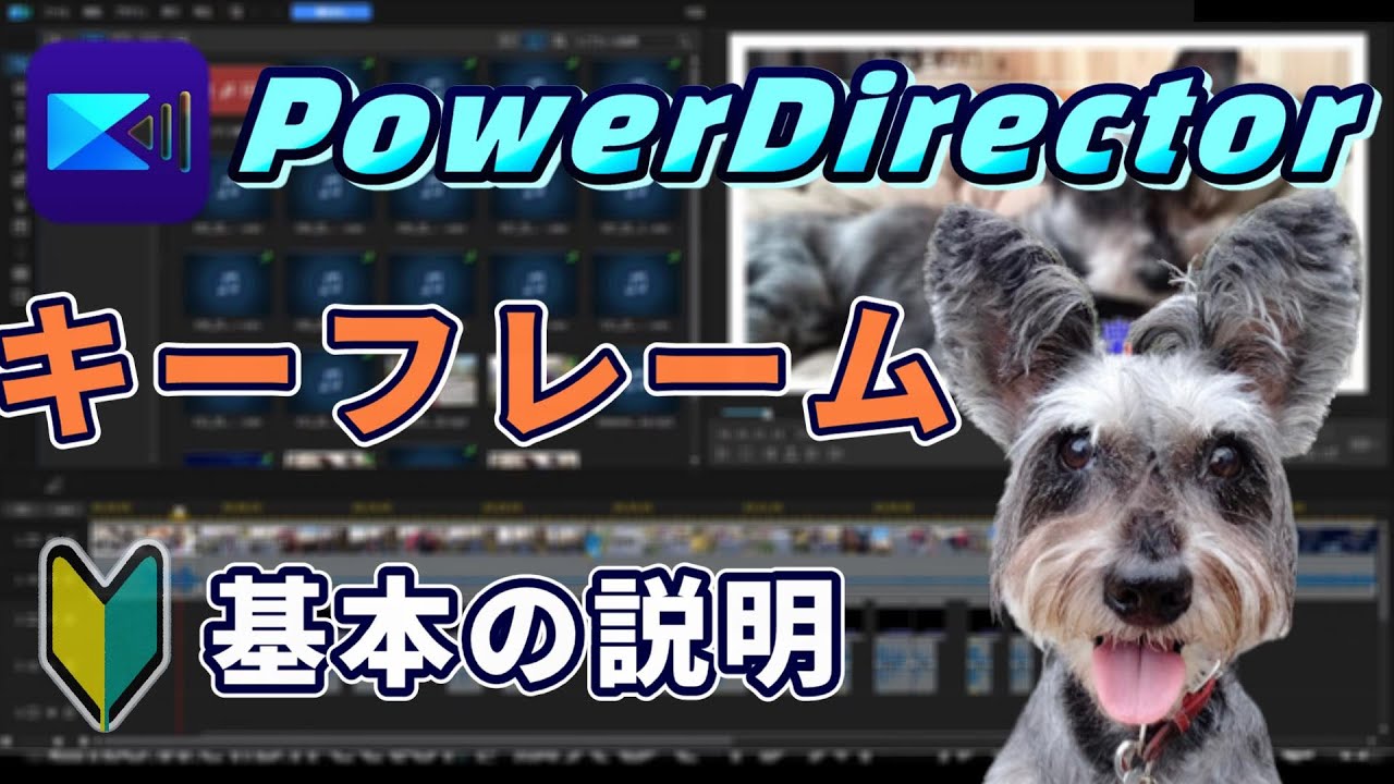 【動画編集】PowerDirectorのキーフレーム解説 　まずは基本の説明　概要を覚えよう　【初心者向け】【パワーディレクターの使い方】【PowerDirector21】