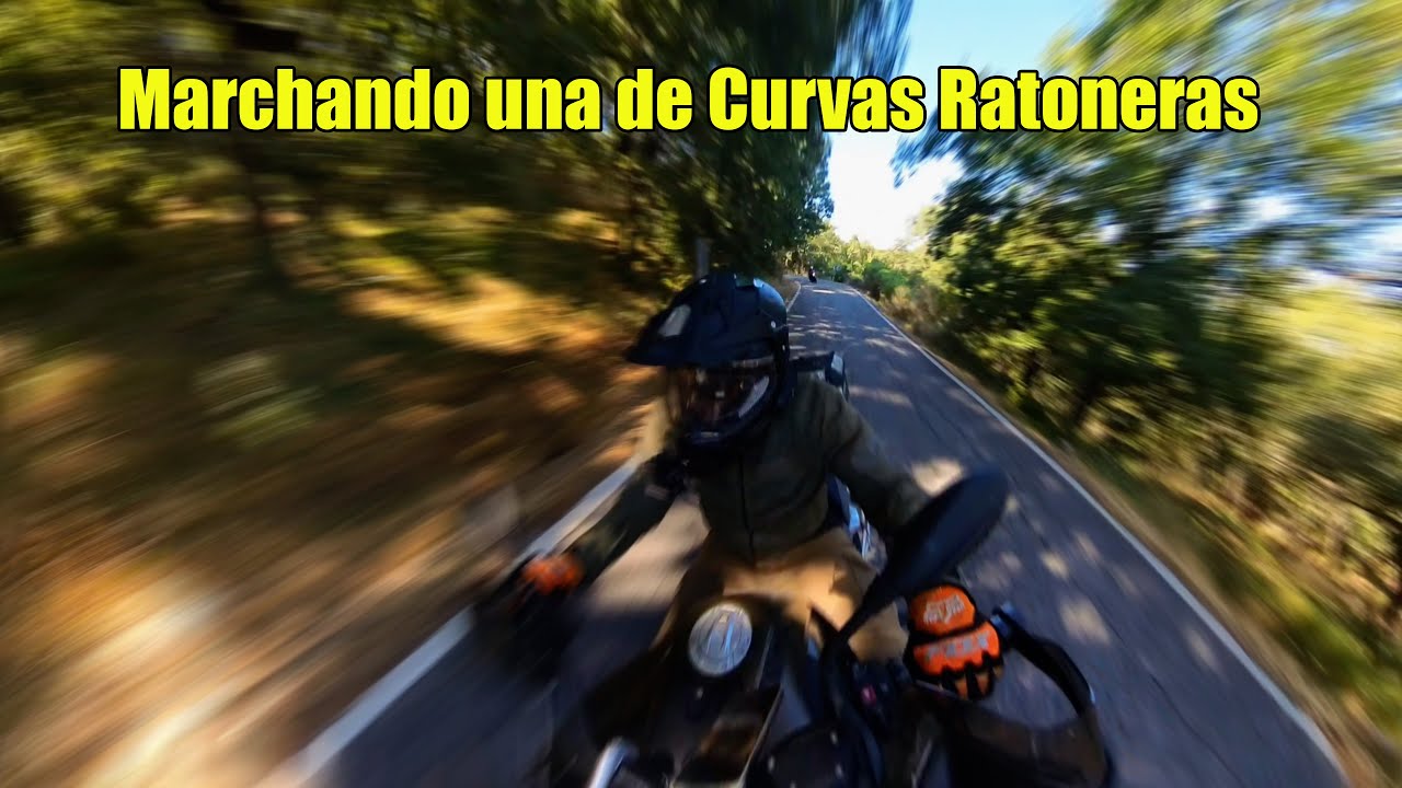Acompáñanos a Cortes de la Frontera
