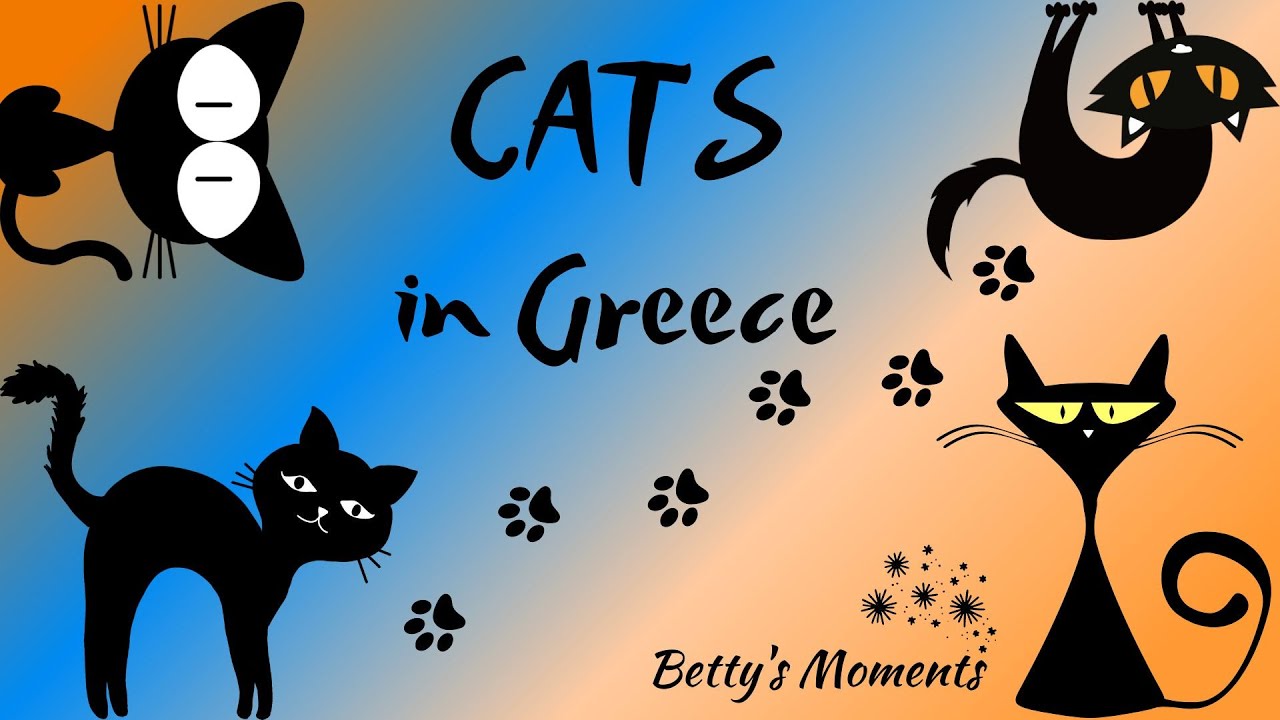 Cats in Greece