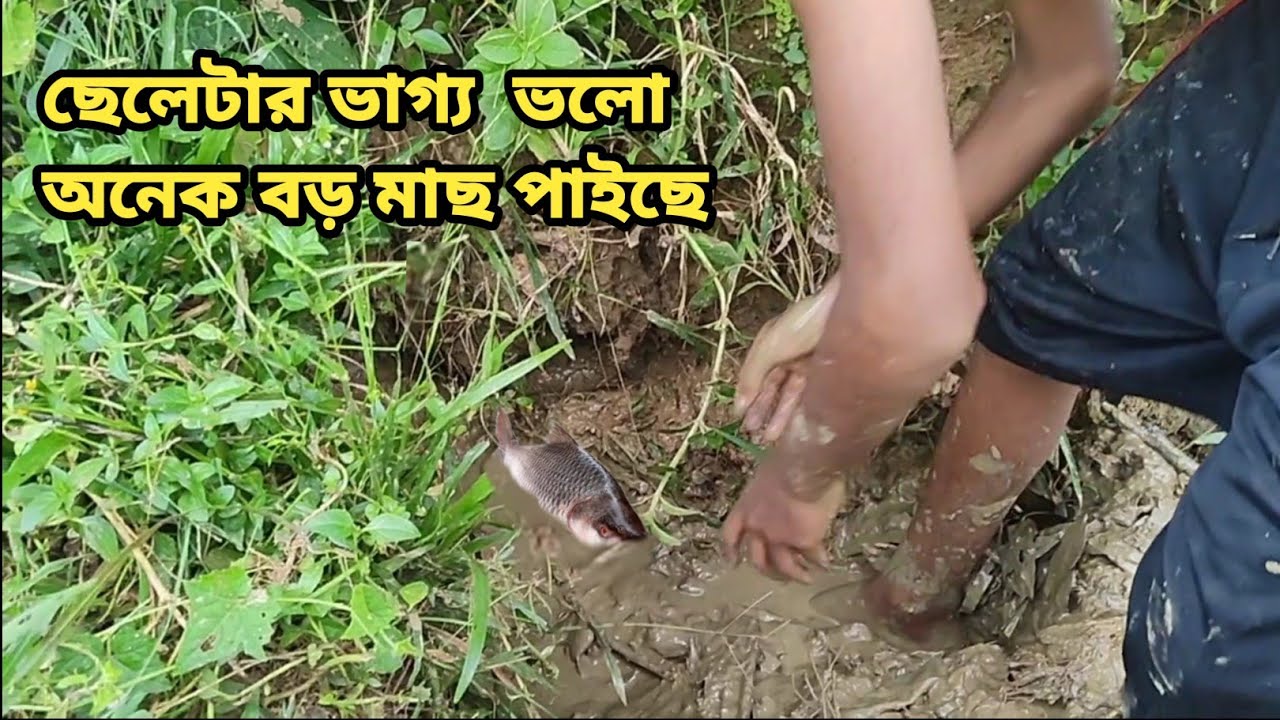 Fishing Video || Amazing Fishing Video || মাছ ধারার ভিডিও || The Bd Village Boys