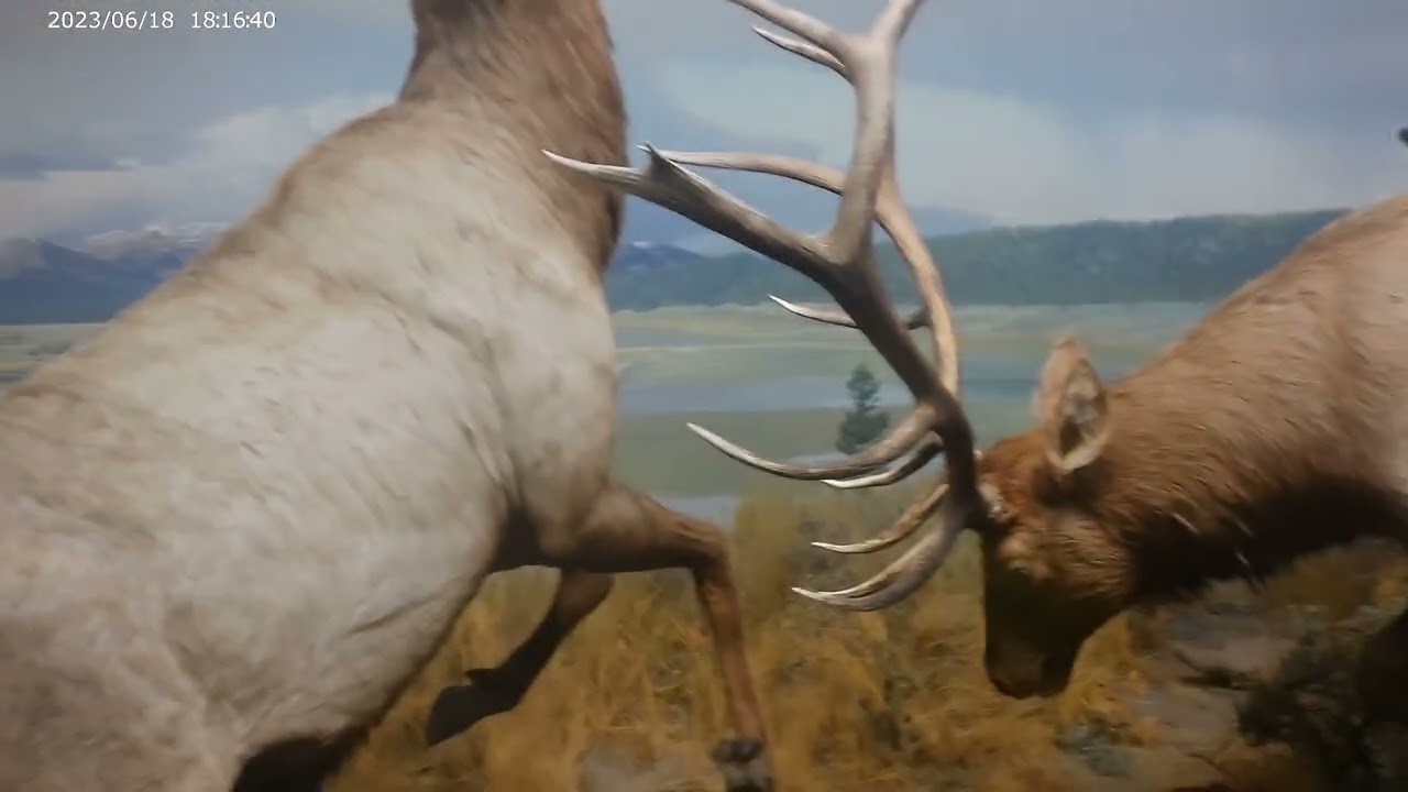 The Carnegie History Museum and Oakland PA Tour (Part 4) (2026).