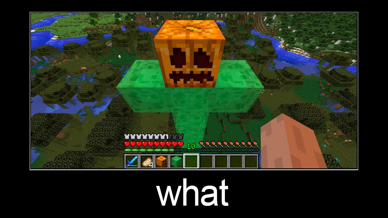 Minecraft wait what meme part 30