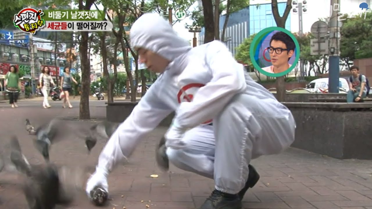 비둘기에는 세균이 진짜 많을까? 실험맨이 직접 잡아봤습니다. Are pigeons really full of germs?