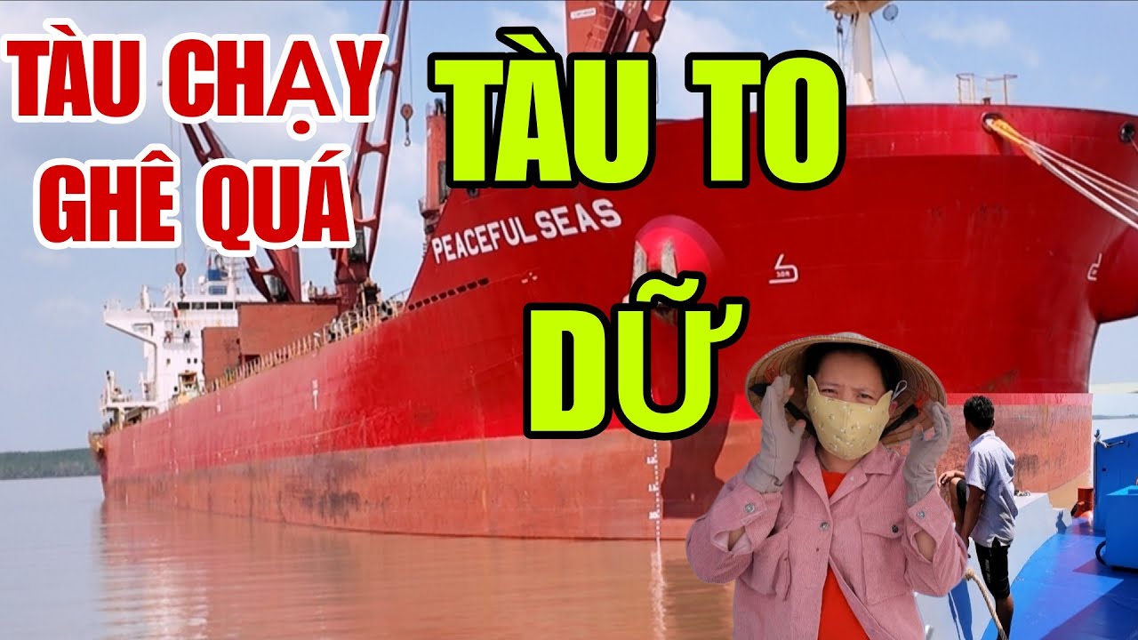 Một Ngày Đối Mặt Với Sóng Lớn Và Niềm Vui Khi Hàng Về Tàu An Toàn.