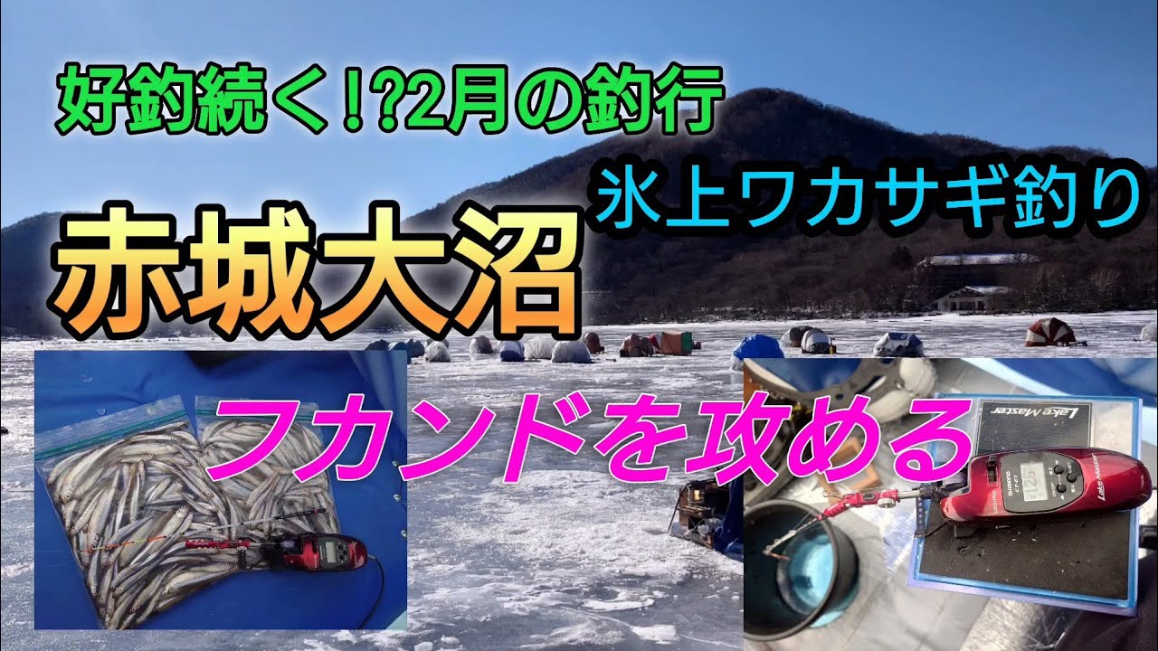【ワカサギ釣り】好釣続く、2月の赤城大沼氷上ワカサギ釣行!!