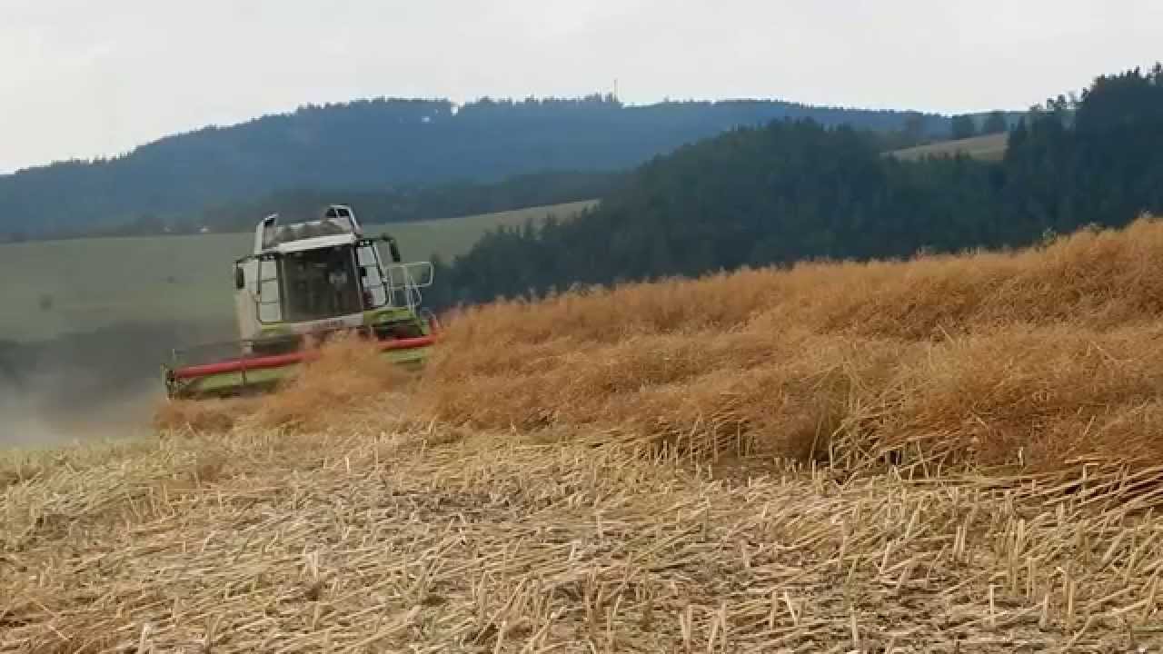 Sečení řepky 2015 Jamné nad Orlicí